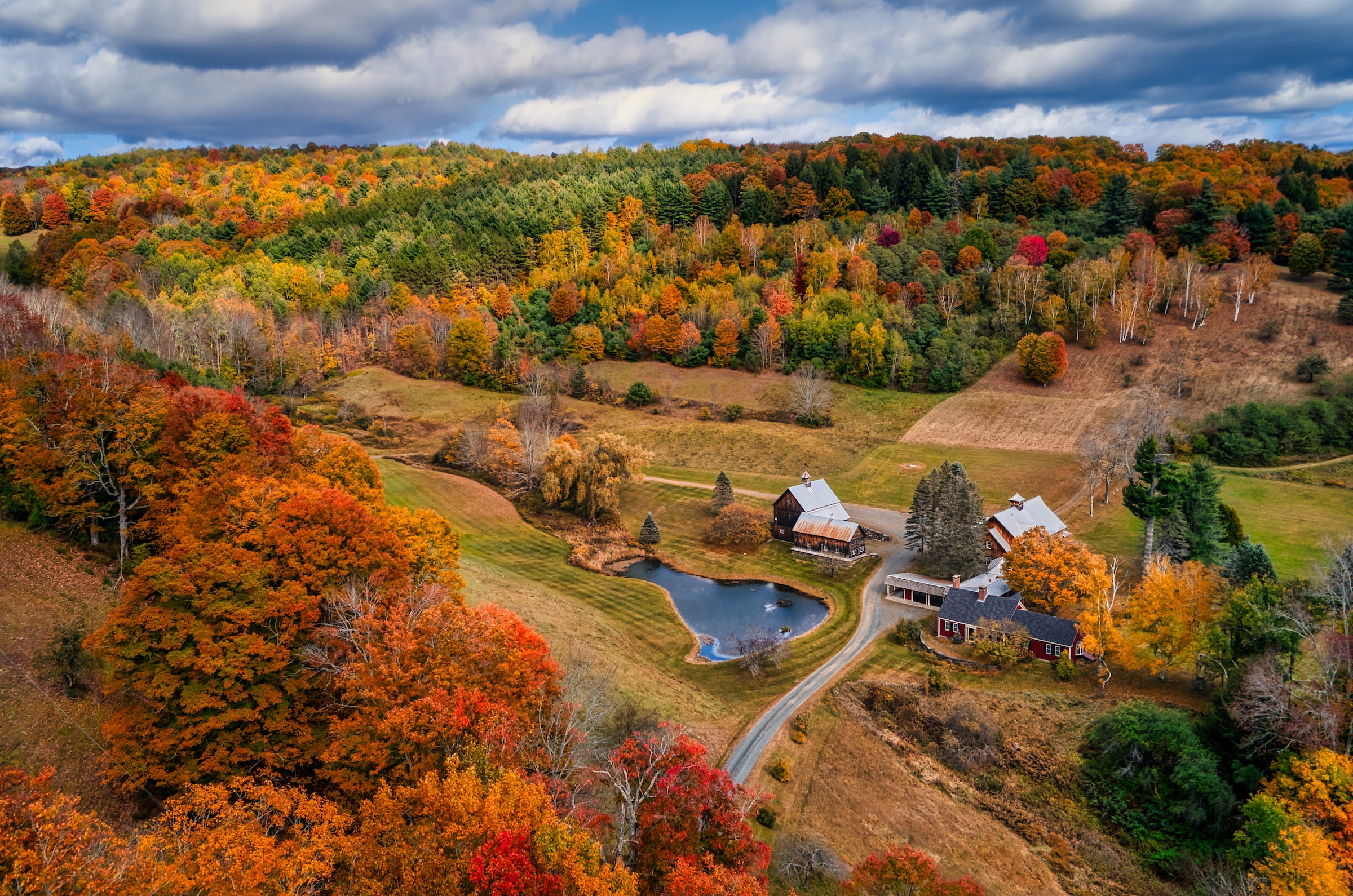 landscape image